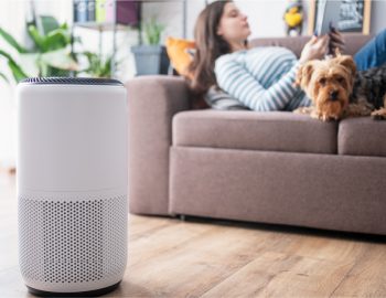 Woman laying on a couch in front of a humidifier.